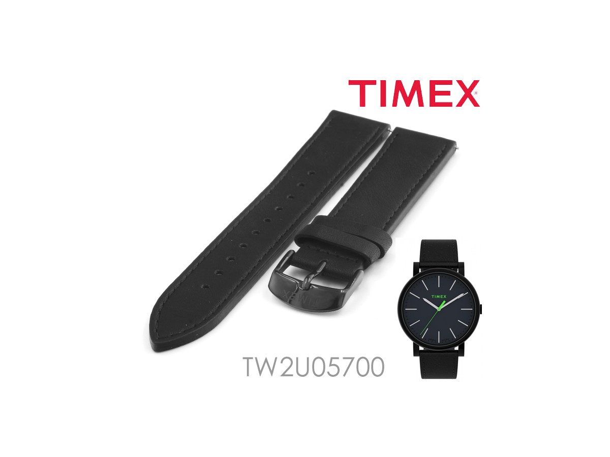 Pasek do zegarka TIMEX TW2U05700 22 mm